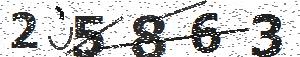 تصویر امنیتی